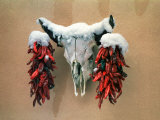 Snowy Cow Skull on Wall with Chili Ristras Hanging on Horns, Santa Fe, New Mexico, USA Photographic Print by Diane Miller