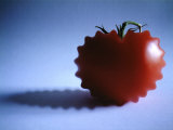 Mutated Red Tomato on Blue Background Photographic Print by Images Monsoon