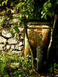 Still Life Composition in Nature with Wheelbarrow Photographie par Images Monsoon