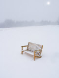 Wooden Bench in a Snow Storm Photographic Print by John Churchman