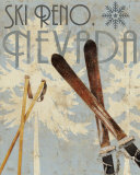 Ski Destinations I Posters
