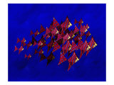 School of Blue Stripe Angel Fish Giclee Print by Images Monsoon