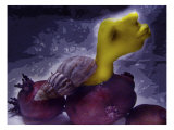 Human Form Emerging from Shell Giclee Print by Emiko Aumann