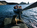 Tourists Coming Ashore Near an Endangered Galapagos Sea Lion Photographic Print by Mattias Klum
