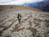 Hiking in the Muskwa-Kechika Management Area Photographic Print by Michael Brown