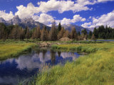 Scenic Mountain Valley View with Beaver Dam Blocked Stream Photographic Print by John Eastcott & Yva Momatiuk
