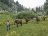Man Leads Horses Through King Canyon National Park Photographic Print by Joel Sartore