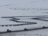 Alaska Pipeline and the Dalton Highway, Alaska Photographic Print by Michael S. Quinton