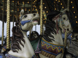 Carousel Horses at Veteran's Park Photographie par Paul Damien