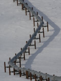 Alaska Pipeline, Alaska Photographic Print by Michael S. Quinton