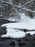 Snow Covered Trees and Stones Along Antietam Creek Photographic Print by Raymond Gehman