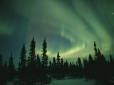 Green Curtain of the Aurora Borealis over the Hudson Bay Area Lámina fotográfica por Norbert Rosing