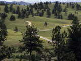 Lone Car Drives Through the 'Wildlife Loop' in Custer State Park Photographie par Paul Damien