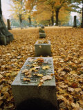 Fall Leaves Surround a Grave Stone in a Wellsville New York Cemetery Photographic Print by Scott Sroka