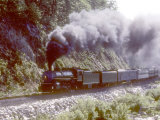 Ex-Southern Railway 2-8-2 4501 on a Steam Fan Trip Fotografie-Druck von Kent Kobersteen