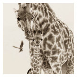 Precious Moments IV Poster by Susann & Frank Parker