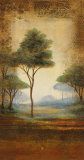 Woodland Meadow I Arte por Joel Holsinger