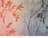 Fall Foreshadowed Prints by Linda Yoshizawa