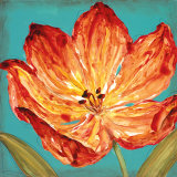Flame Tulip II Prints by Karen Leibrick
