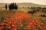 Hills of Tuscany I Posters by Steve Wynne