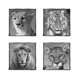Catastic Prints by Susann & Frank Parker