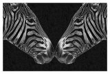 On Reflection II Prints by Susann & Frank Parker