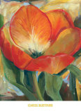 Summer Tulips I Plakat av Carol Buettner Summer Tulips I Plakat av Carol Buettner
