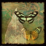 Butterflies and Leaf Prints