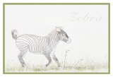 Simply Zebra Prints by Susann & Frank Parker