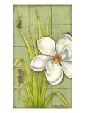 Sugar Magnolia I Giclee Print by Jennifer Goldberger