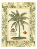 Palm in Bamboo II Giclee Print by Vision Studio 