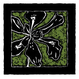 Tropical Woodblock III reproduction procédé giclée par Chariklia Zarris