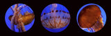 Marine Art Láminas por Susann & Frank Parker