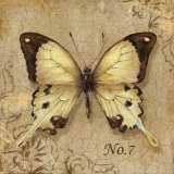 Clair's Butterfly II Posters