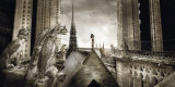 Gargouilles de Notre Dame, Paris Poster von Stephane Rey-Gorrez