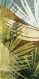 Palm Frond II Prints by John Butler