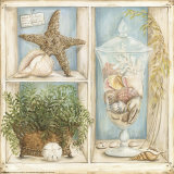 Shell Collector II Posters by Kate McRostie