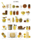 Honey - Reprodüksiyon Honey - Reprodüksiyon