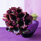 Bouquet of arum lilies Prints by Mary Bartley