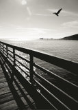 Wooden Walkway, Avila Beach Poster par Ethel Davies