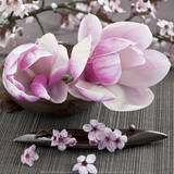 Magnolia Poster van Catherine Beyler Magnolia Poster van Catherine Beyler