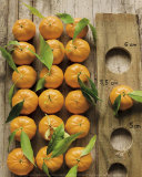 Clementine Prints by Federic Vasseur