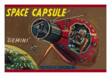 Space Capsule Gemini Prints