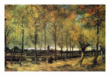 Lane with Poplars Plakater af Vincent van Gogh Lane with Poplars Plakater af Vincent van Gogh