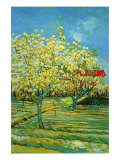 Orchard with Cypress Poster af Vincent van Gogh