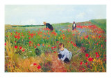 Poppies Posters by Mary Cassatt