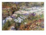 Jardin aquatique Photographie par Childe Hassam