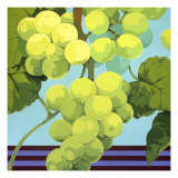 Harvest Prize 1 Giclee Print by Martha Negley