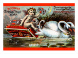 Buchan's Carbolic Toilet Soap Pósters