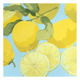 Fresh Lemons Giclee Print by Martha Negley